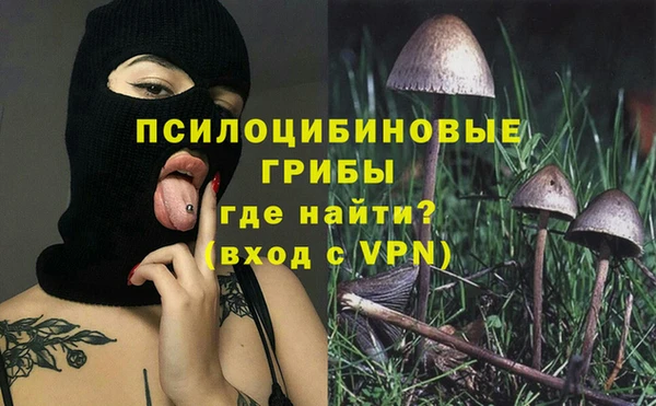 spice Саяногорск