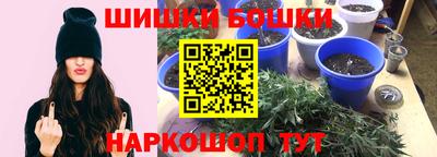 СК Дубна