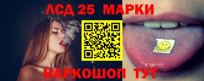 СК Дубна