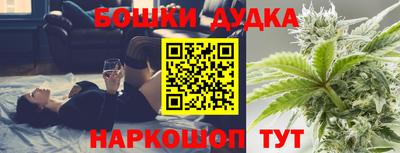 СК Дубна
