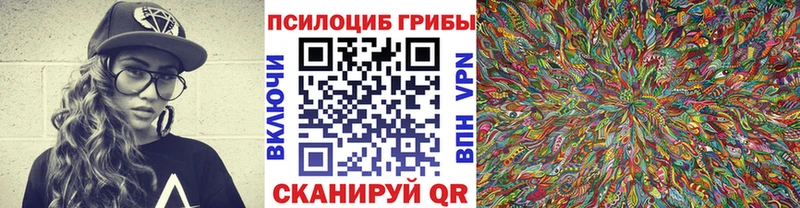 гидра зеркало  Кинешма  Галлюциногенные грибы MAGIC MUSHROOMS  продажа наркотиков 