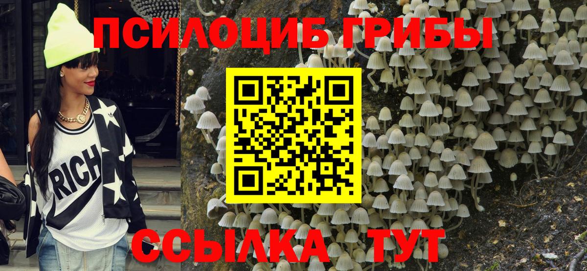 Кинешма  где купить   Галлюциногенные грибы Magic Shrooms  Вход с VPN  Псилоцибиновые грибы мицелий 