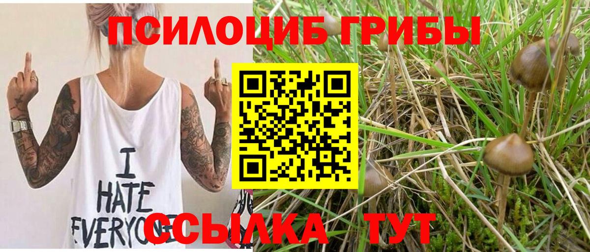 COCAIN Кинешма